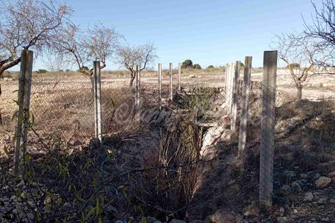 Finca i Caudete, Albacete, Caudete - € 29.995 | Ref: SF0480 - foto 11